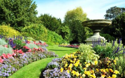 💧🌿 Mantén tu jardín verde y saludable todo el año con un riego automatizado y eficiente