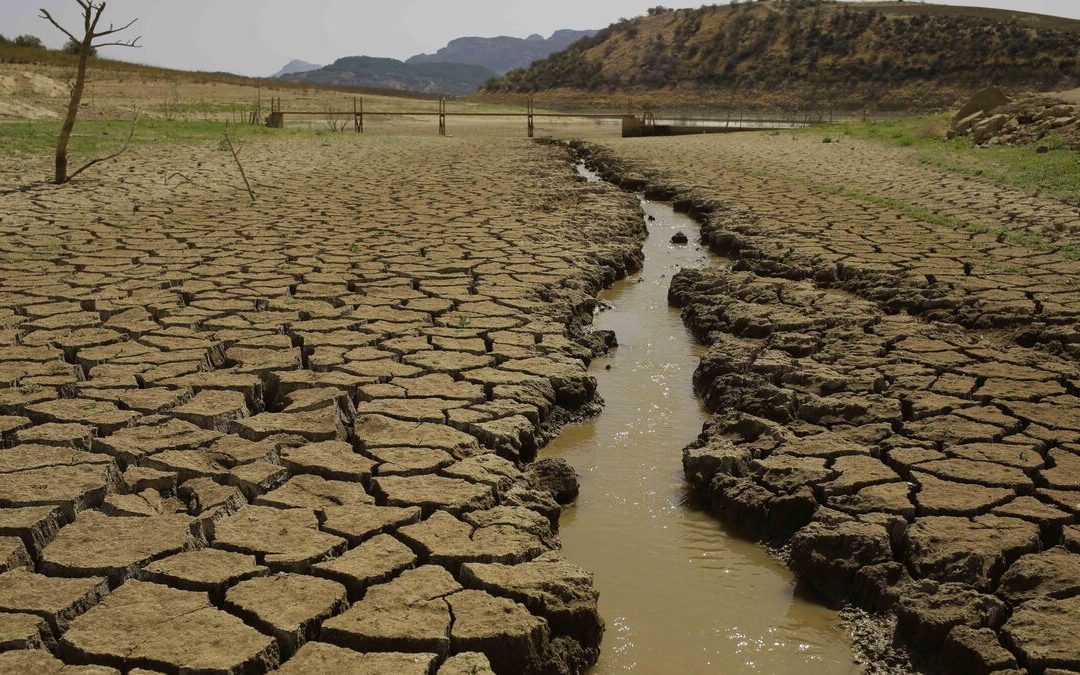 Ahorrar agua ante la sequía