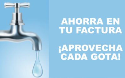 Ahorra agua en tu jardín y piscina