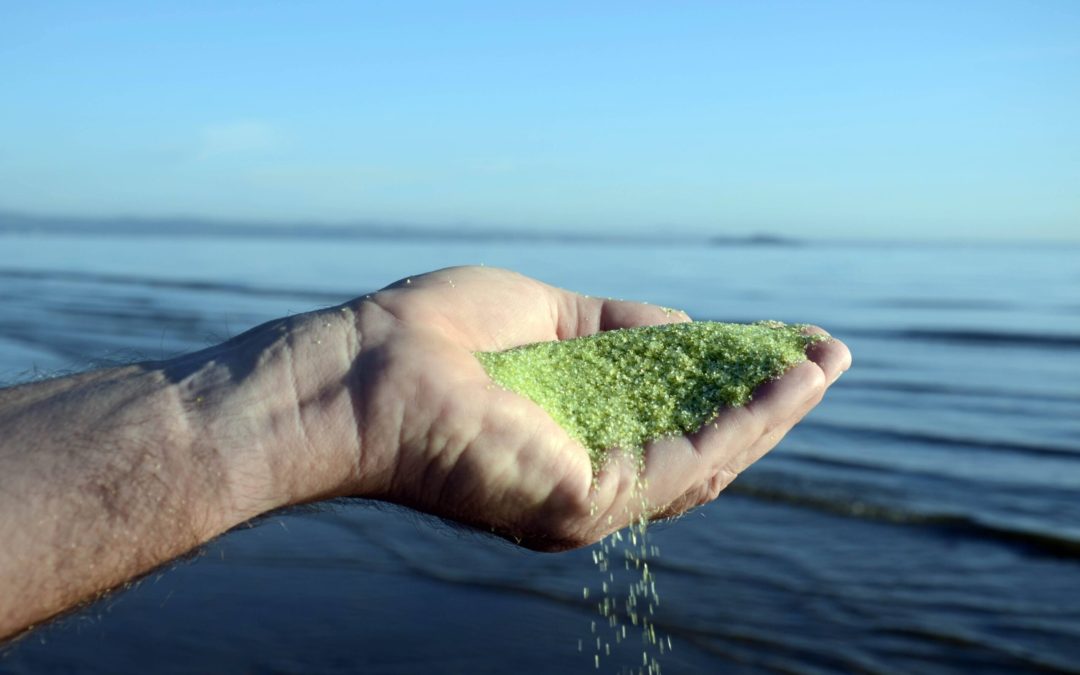 🌊✨ Descubre cómo el AFM® puede transformar el mantenimiento de tu piscina en Marbella y alrededores
