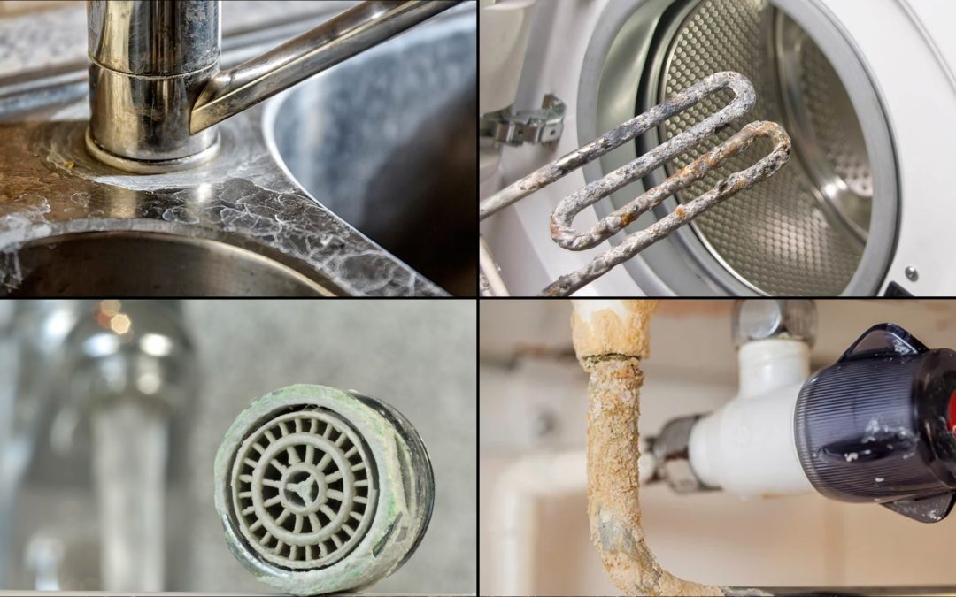 💧🚿 Di adiós a la cal y mejora la calidad del agua en tu hogar, urbanización u hotel